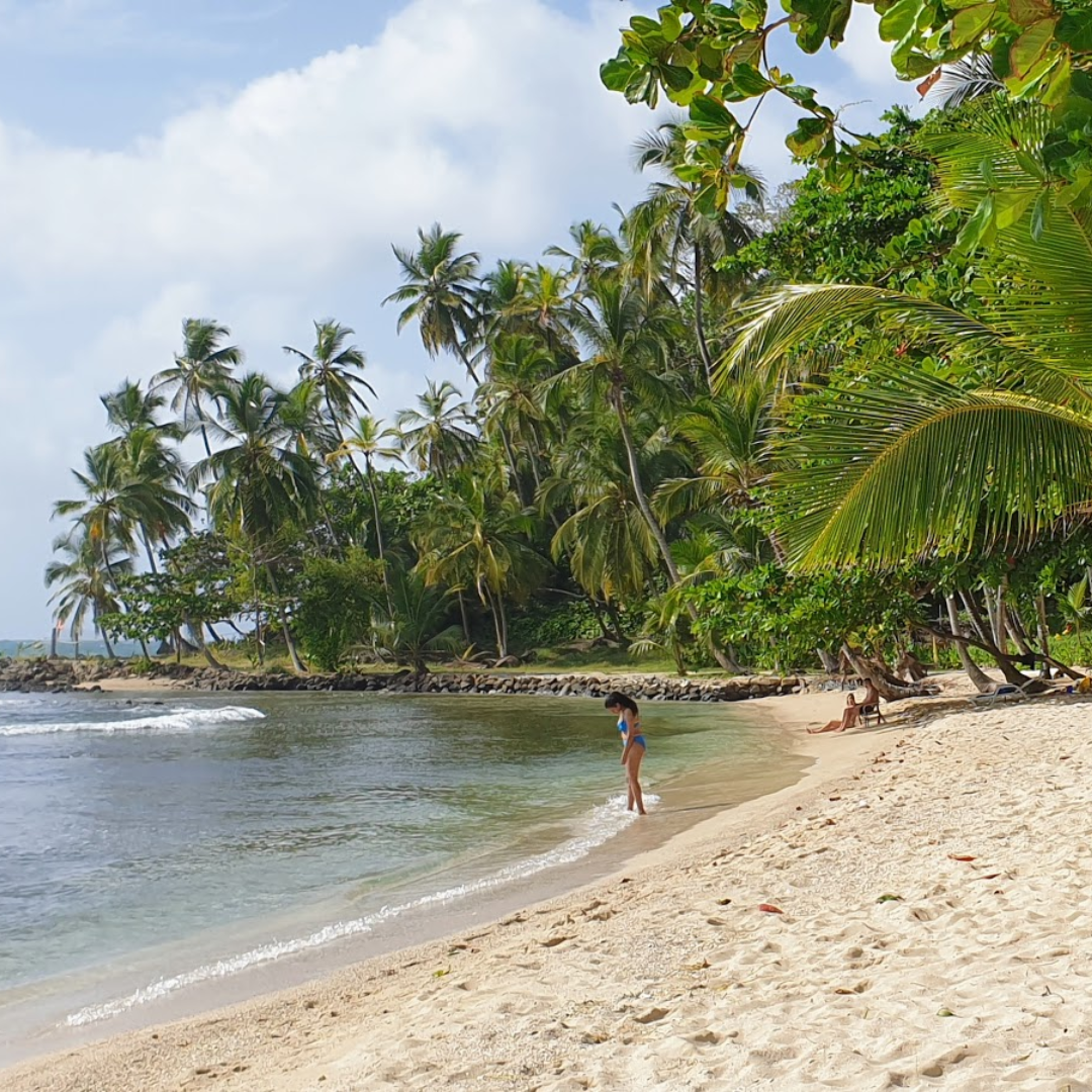 Tour de Islas + 2 Ceviches + 2 Cervezas para 2 personas por solo $30 en El Bucanero