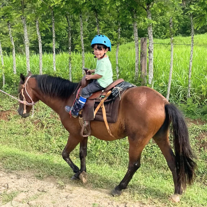 2x1 al Parque de Aventuras Más Divertido de Panamá por $25 en Bayano Adventure Park